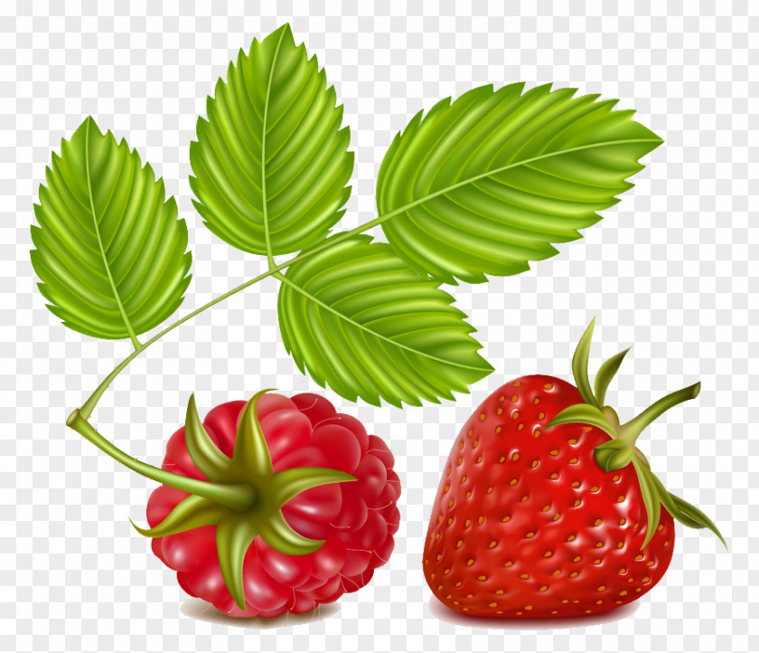 Cartoon Strawberry Picture Material Raspberry Clip Art PNG