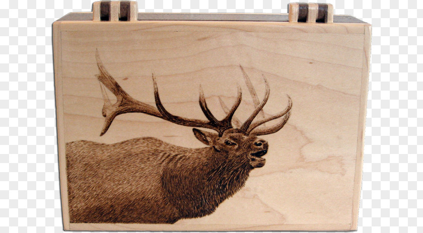Deer Elk Pyrography Wood Art PNG