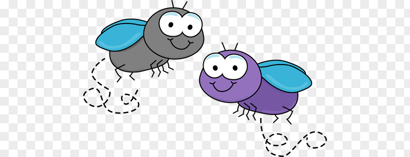 Flu Bug Cliparts Fly Insect Clip Art PNG