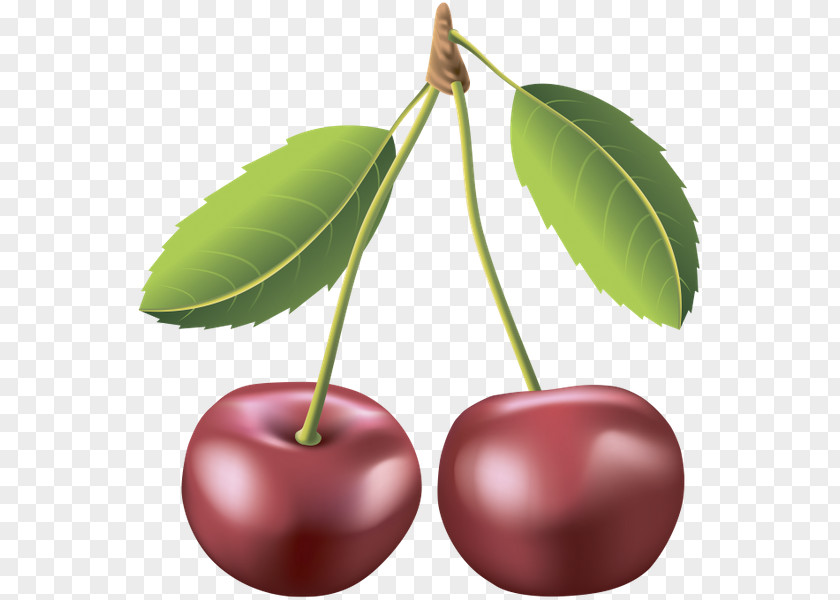 Cherry Auglis PNG