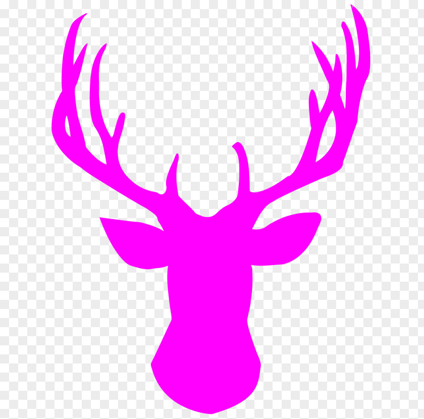 Deer White-tailed Stencil Reindeer Red PNG