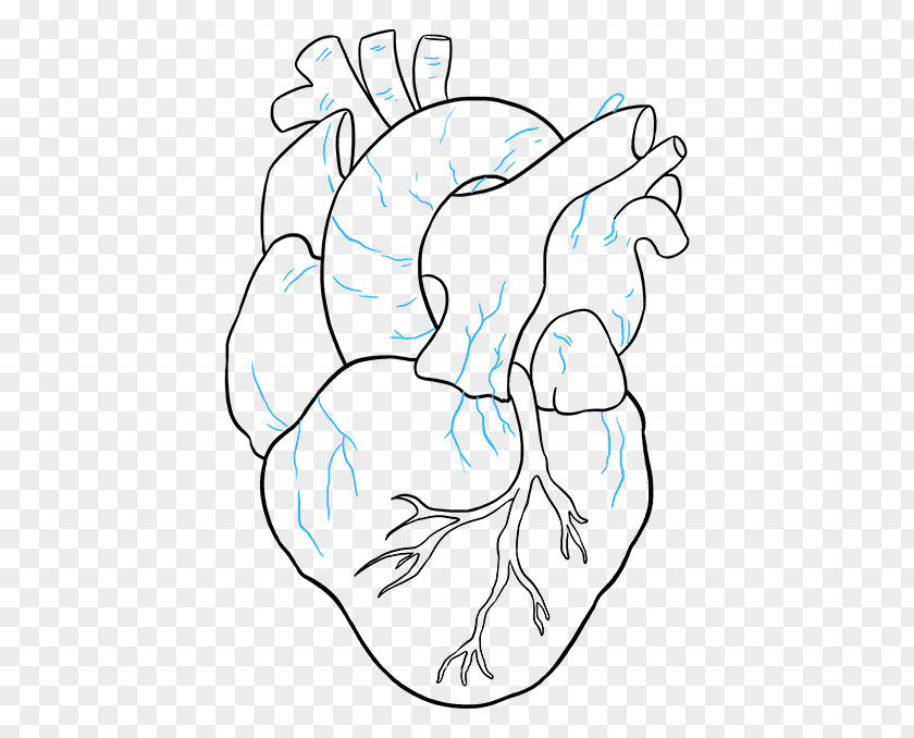 Irregular Shading Portrait Drawings Clip Art Image Heart PNG
