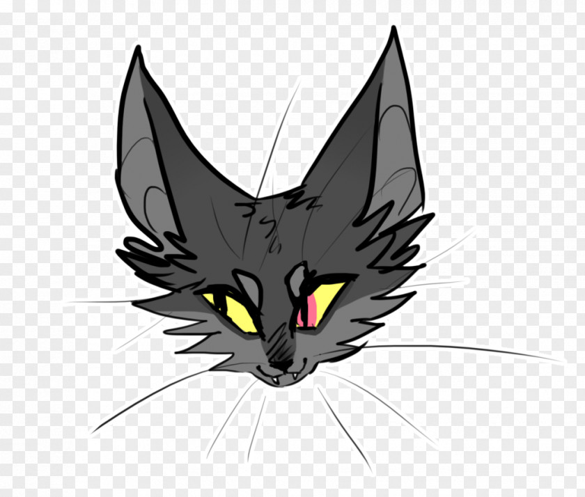 Kitten Whiskers Tabby Cat Domestic Short-haired Black PNG