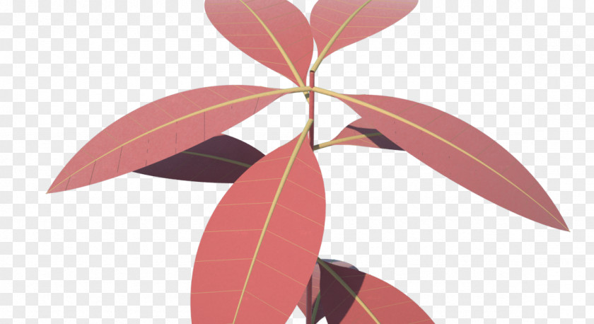 Leaf Petal Pink M PNG