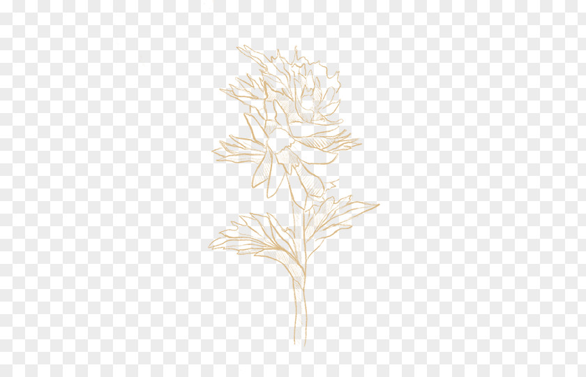 Leaf Twig Drawing Plant Stem /m/02csf PNG