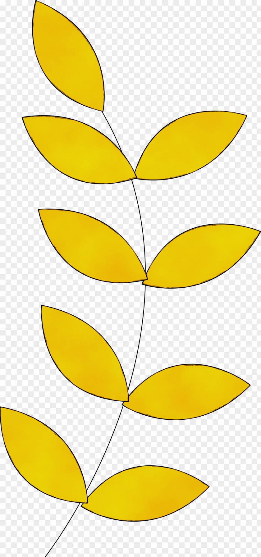 Plant Stem Petal Line Art Leaf Angle PNG
