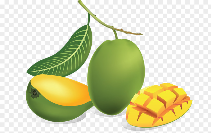 Forgetmenot Mango Clip Art PNG