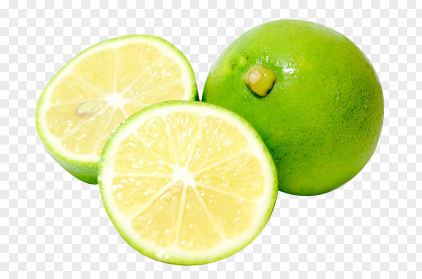 Orange Download Key Lime Citron Tangelo Lemon PNG