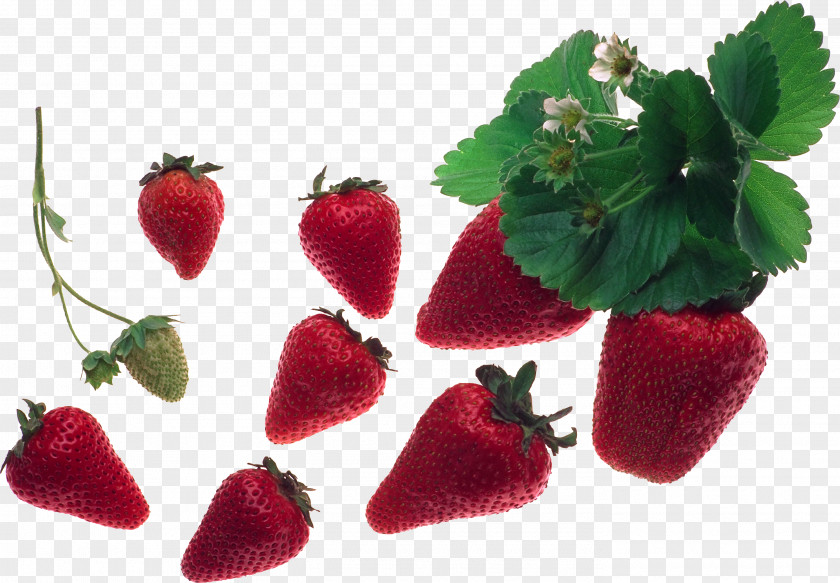 Strawberry Musk Aedmaasikas Fruit Food PNG
