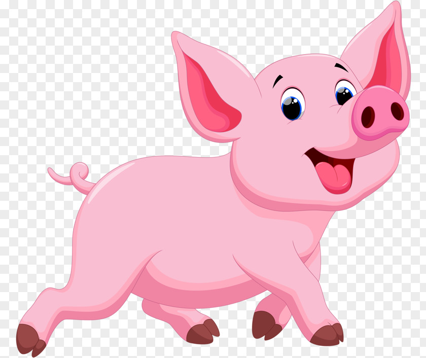 Running Pig Porky Domestic Drawing Illustration PNG