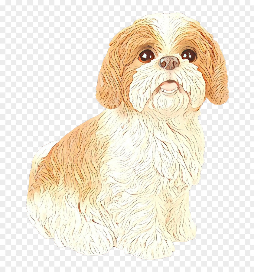 Schnoodle Shih Tzu Havanese Dog Cockapoo Lhasa Apso PNG