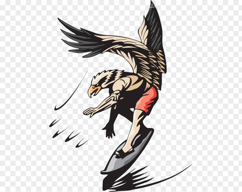 Surfing The Eagle Bald Cartoon Illustration PNG