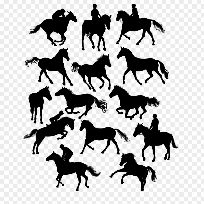 14 Creative Equestrian Horse With Silhouette Vector Material Euclidean Equestrianism Illustration PNG