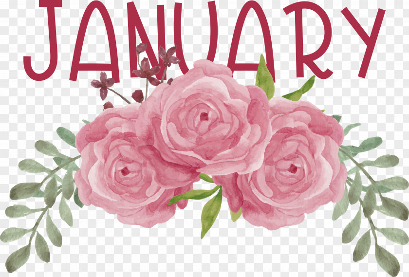 Floral Design PNG