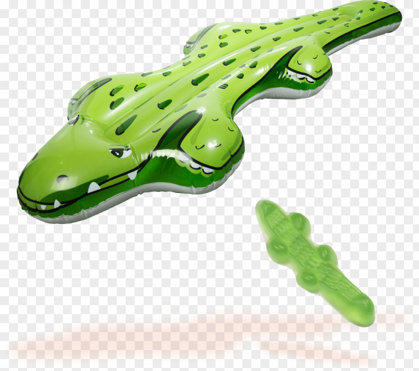 Frog Reptile PNG