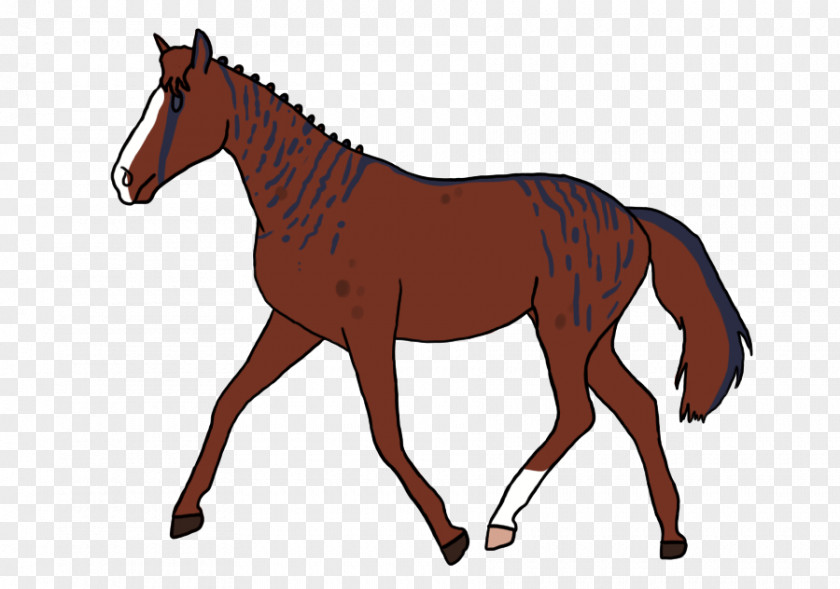 Livestock Colt Horse Cartoon PNG