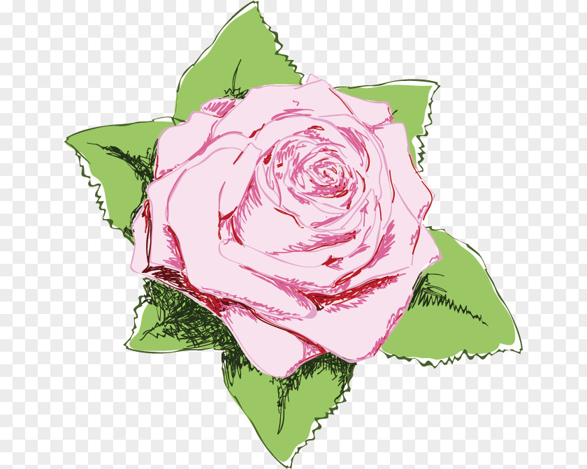 One Flower Rose Valentines Day PNG