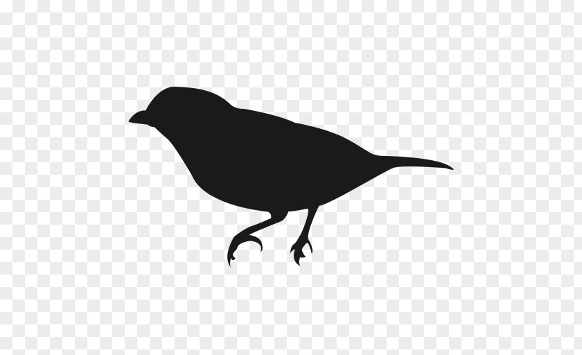 Silhouette American Crow Bird Owl PNG