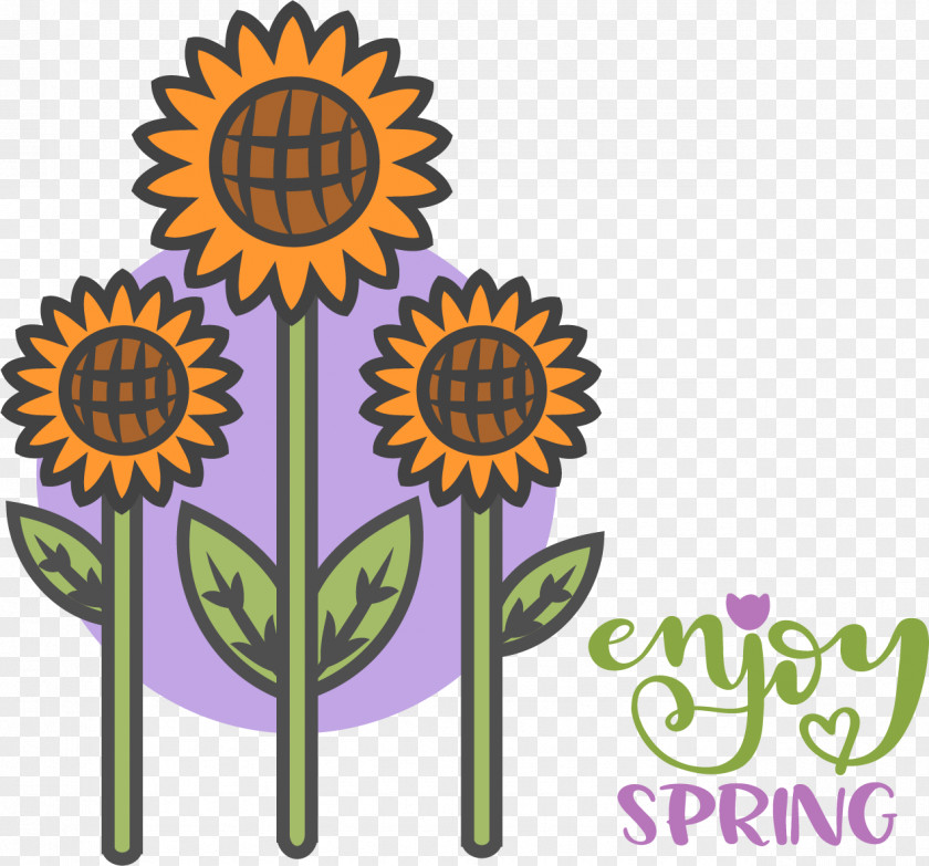 Drawing Cartoon Common Sunflower Logo Sketch PNG