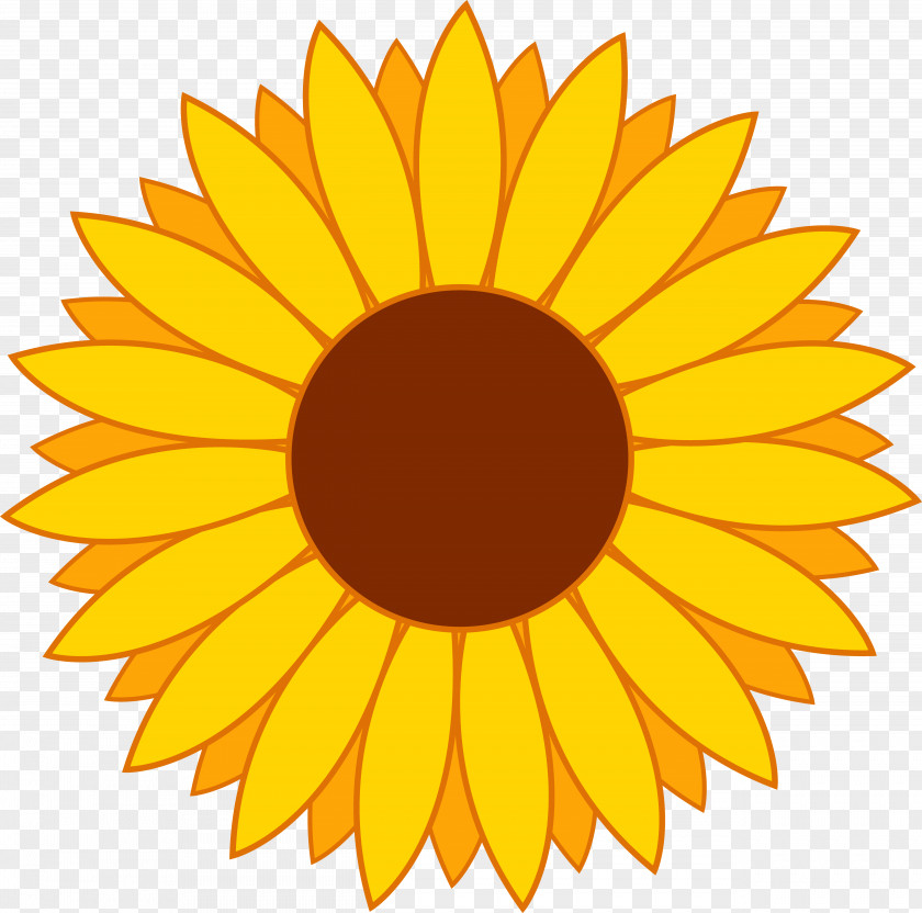 Flower Clip Art Common Sunflower PNG