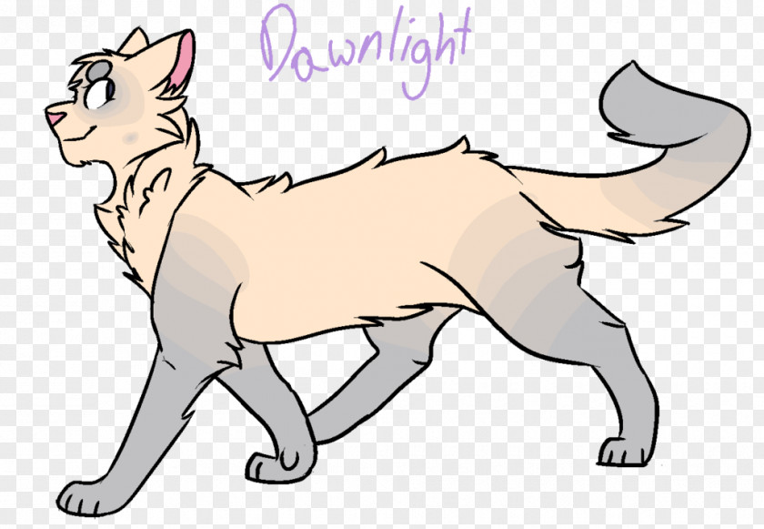 Kitten Whiskers Cat Puppy Line Art PNG