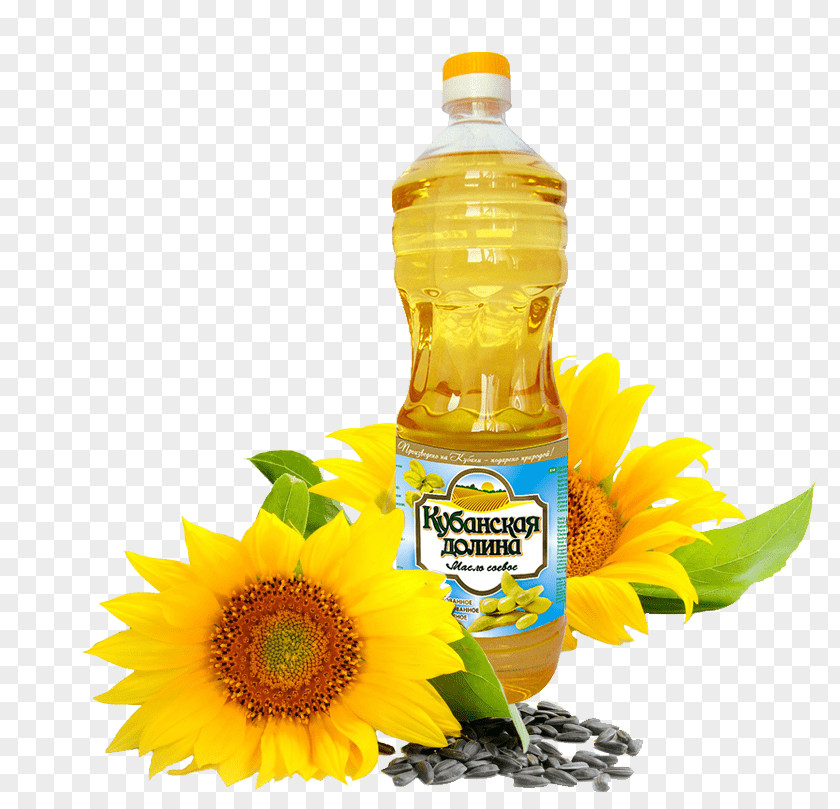 Sunflower Oil Common Seed Cooking Oils PNG