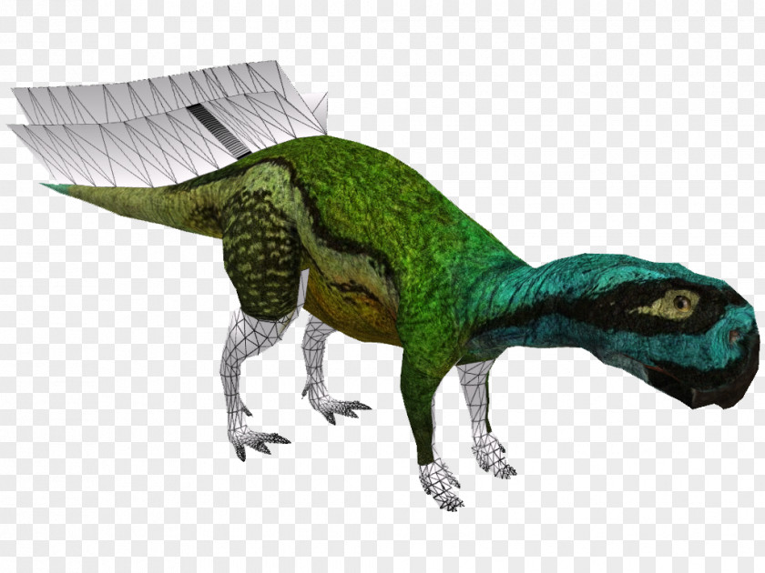 Torosaurus Velociraptor Tyrannosaurus Animal PNG