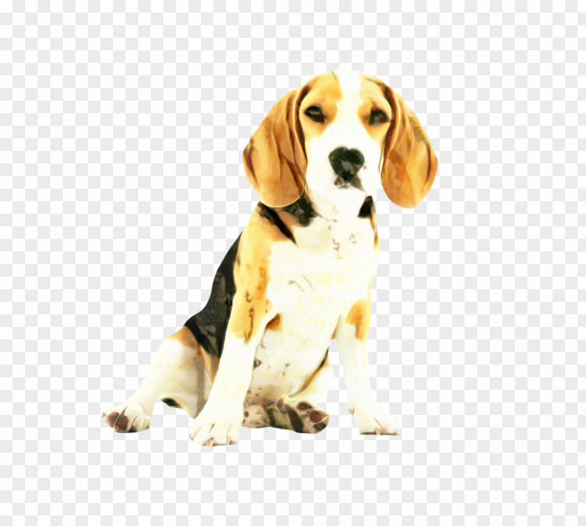 Artois Hound Puppy Dog And Cat PNG