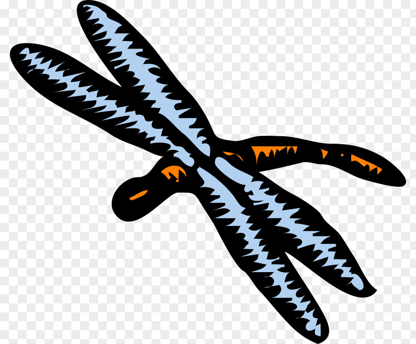 Dragon Fly Dragonfly Download Clip Art PNG