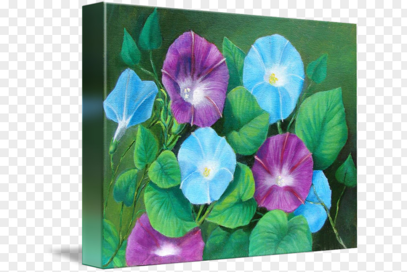 Pansy Ipomoea Violacea Morning Glory Annual Plant Modern Art PNG