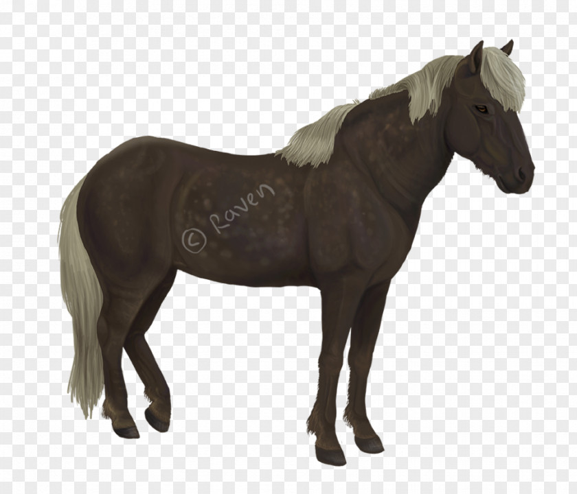 Toy Shire Horse Percheron Foal Mare PNG