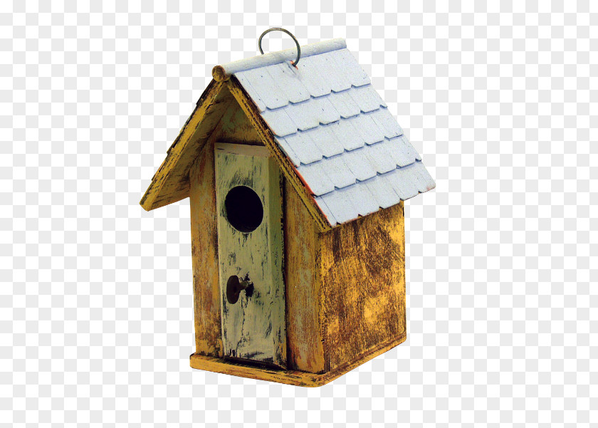 Bird Western Bluebird Nest Box House PNG