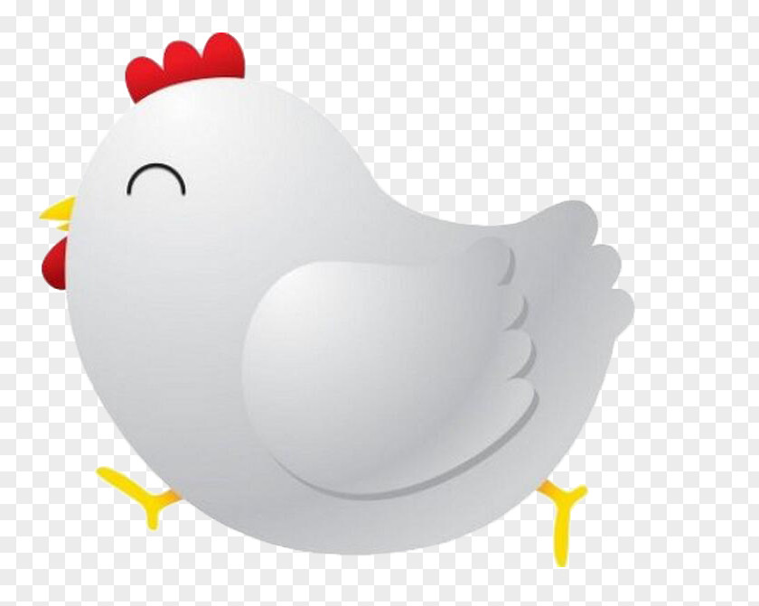 Chick Chicken Rooster Bird Illustration PNG