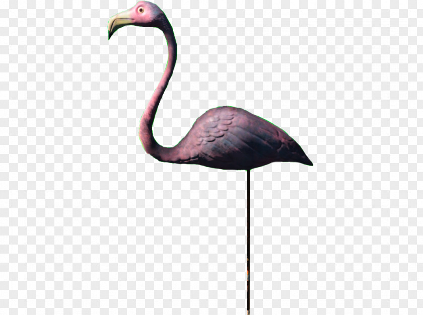 Flamingo Fallout 4 Water Bird Wiki PNG