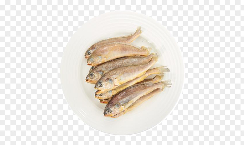 Free Dried Sea Fish Buckle Image Larimichthys Crocea Drums Polyactis PNG