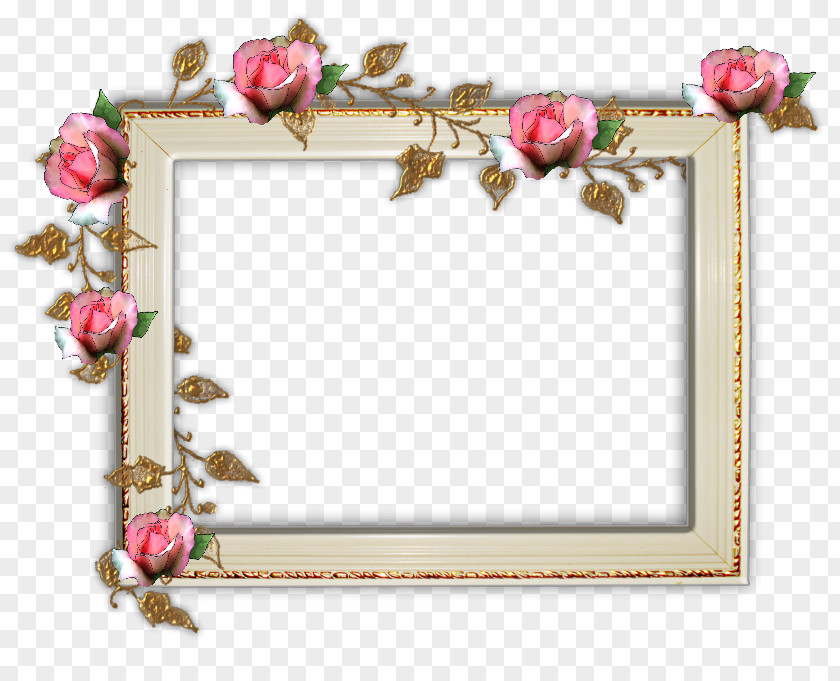 Rose Picture Frames Garden Roses Digital Photo Frame PNG