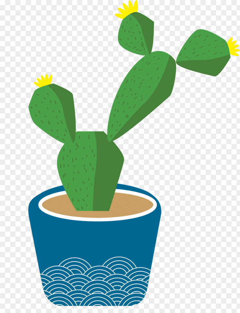 Vector Green Cactus Cactaceae Clip Art PNG