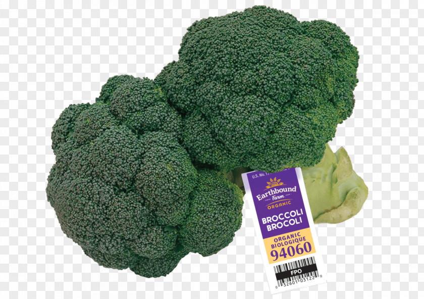 Broccoli Organic Food Earthbound Farm Salad PNG