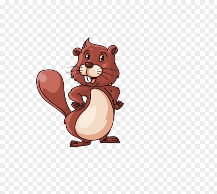 Brown Squirrel Royalty-free North American Beaver Illustration PNG