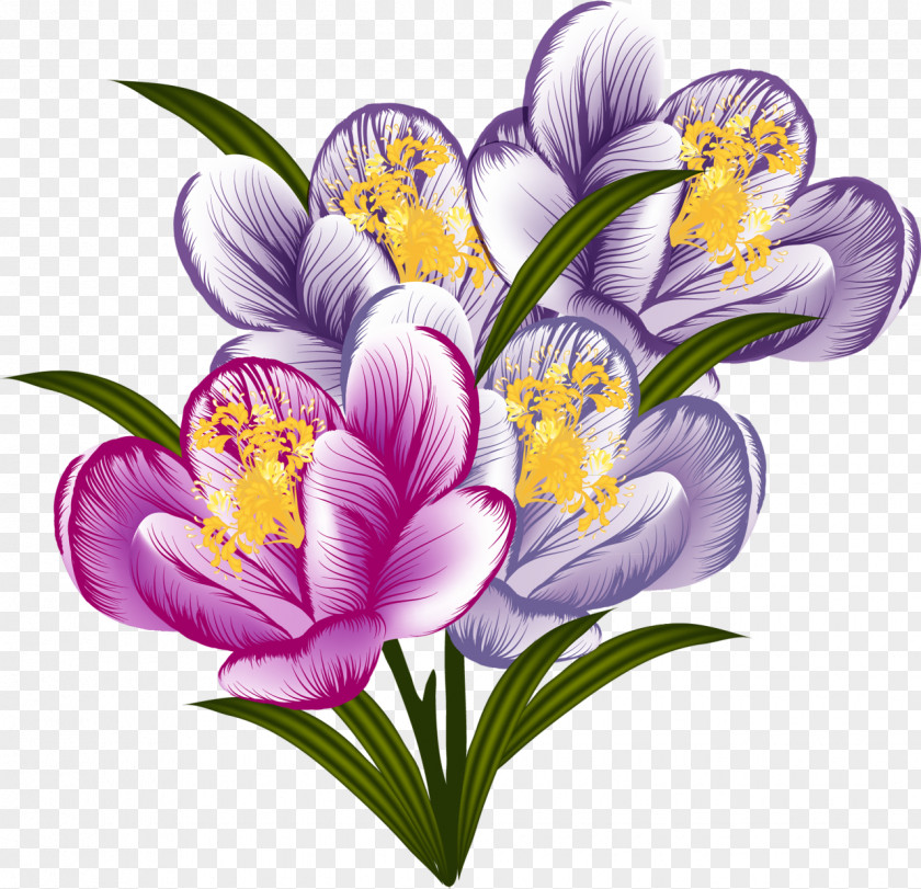 Crocus Flower Purple Clip Art PNG