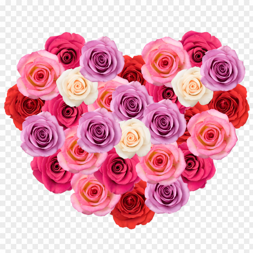 Mothers Day Flower Mother's Rose Pink Purple PNG