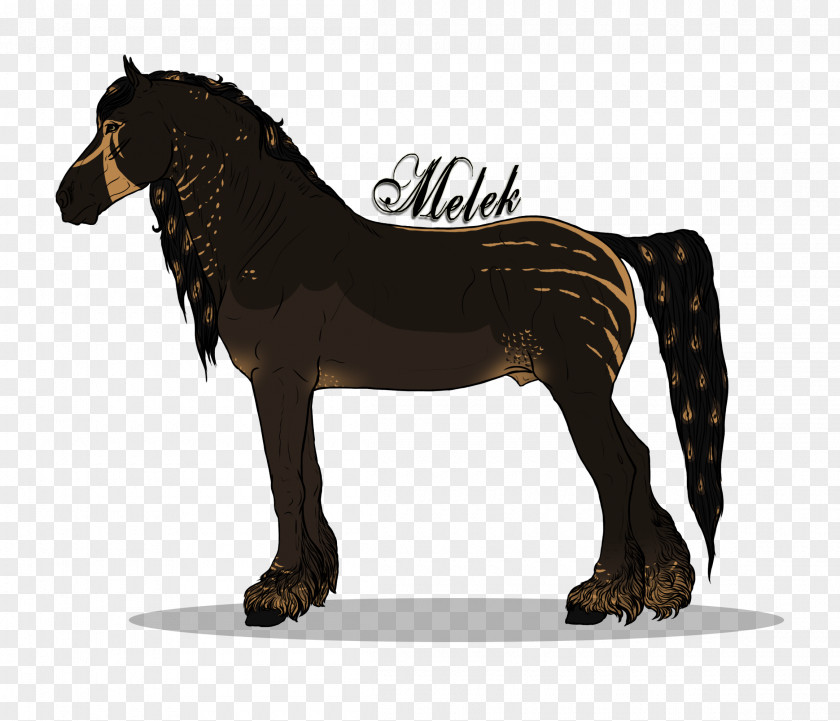 Mustang Stallion Foal Mare Colt PNG