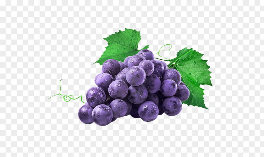 Purple Grape Material Common Vine Isabella Juice Concord PNG