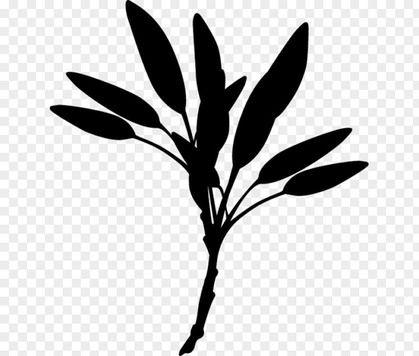 Twig Plant Stem Flower Leaf Clip Art PNG