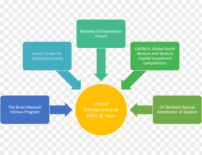 Best Act Preparation Courses Product Management Organization Project Manager Consulting PNG