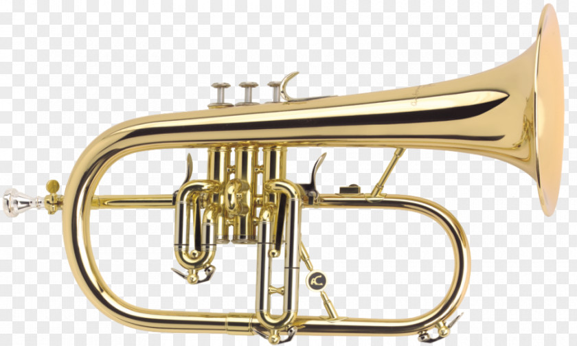 Trumpet Saxhorn Cornet Flugelhorn Soprano Saxophone PNG