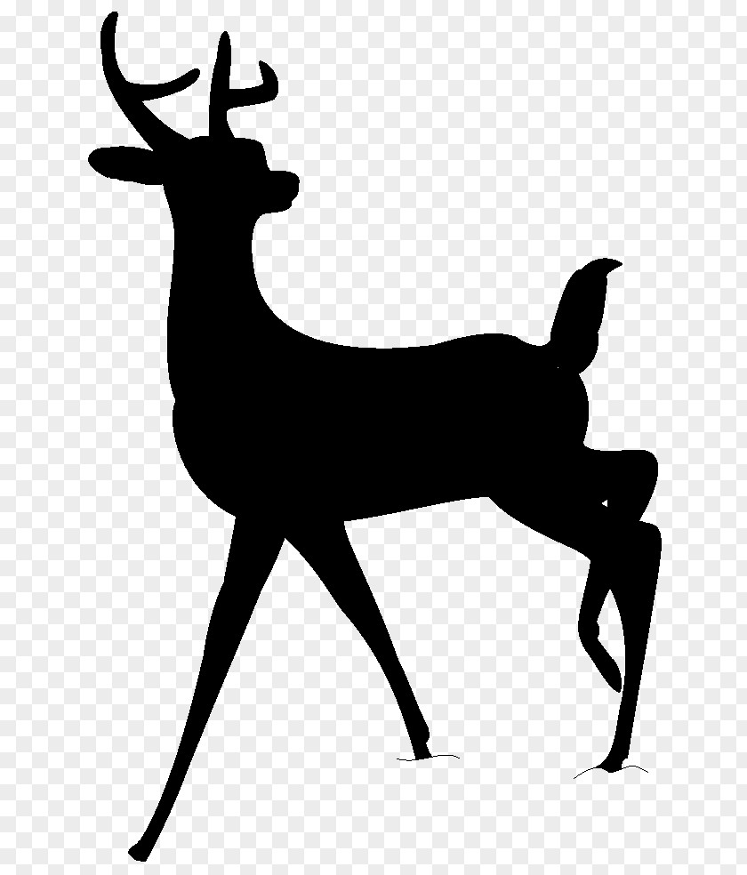 White-tailed Deer Faline Bambi Reindeer PNG