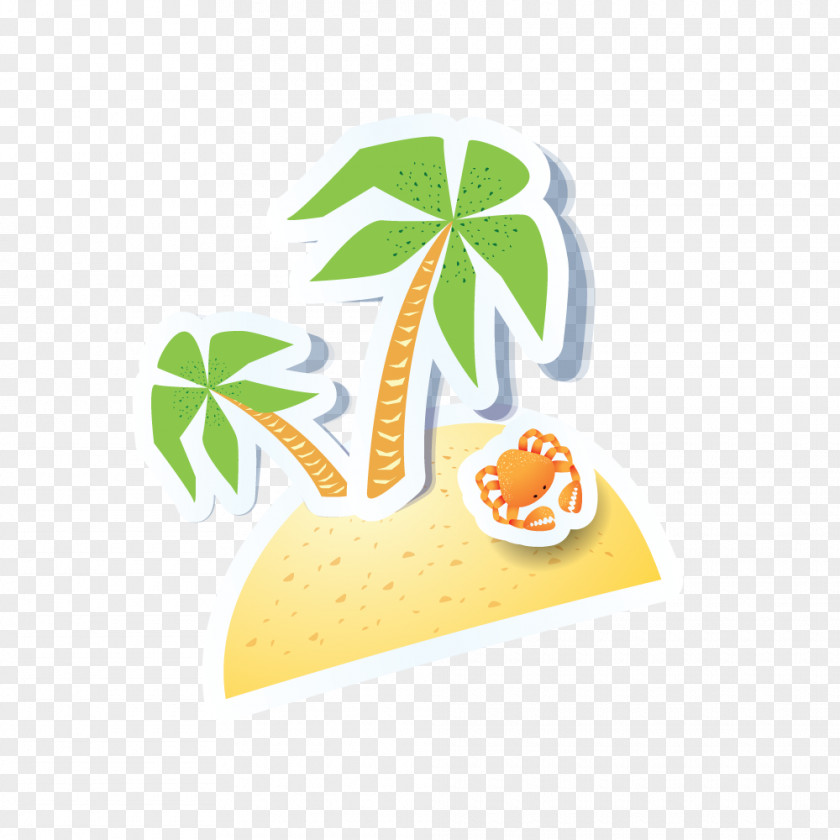 Beach Coconut Tree PNG