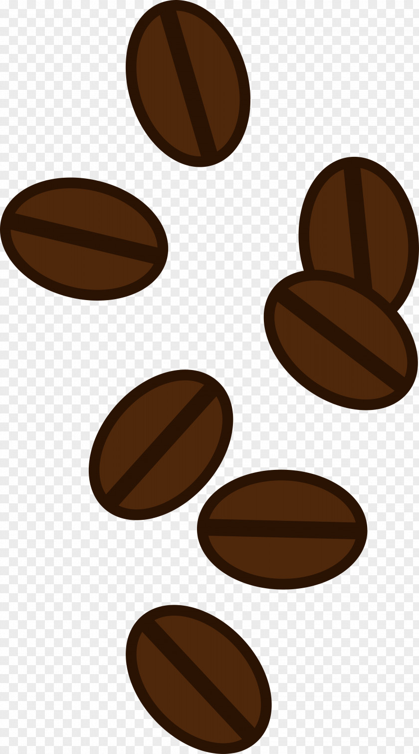 Coffee White Bean Espresso Kopi Luwak PNG