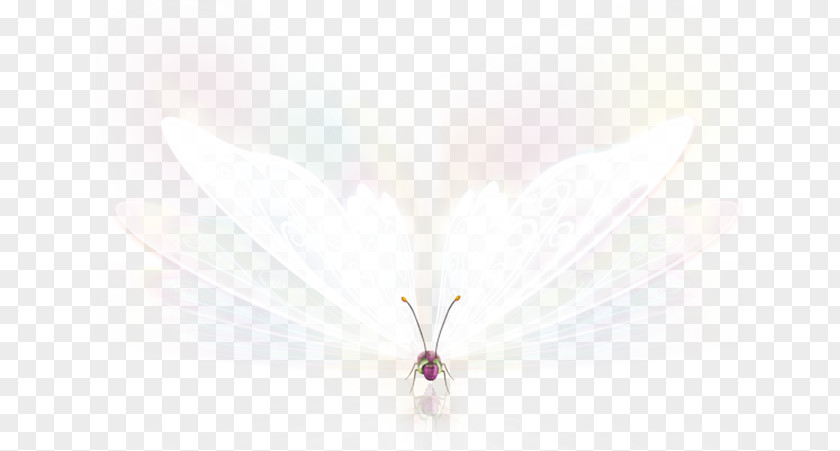 Fantasy Butterfly Luminous Pink Pattern PNG